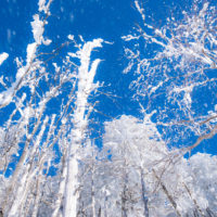 蓼科山の山岳写真