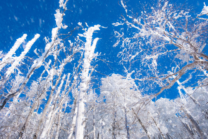 蓼科山の山岳写真