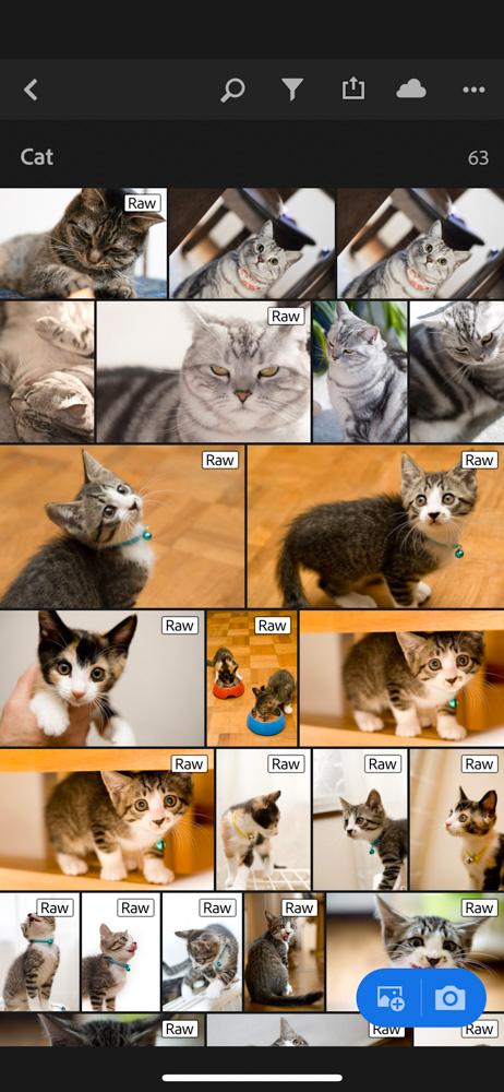 lightroom-2.jpg LightroomCCとの同期