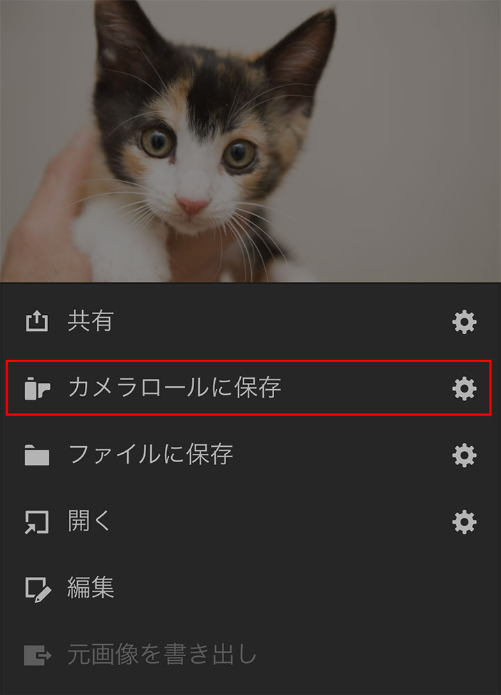 カメラロールに保存