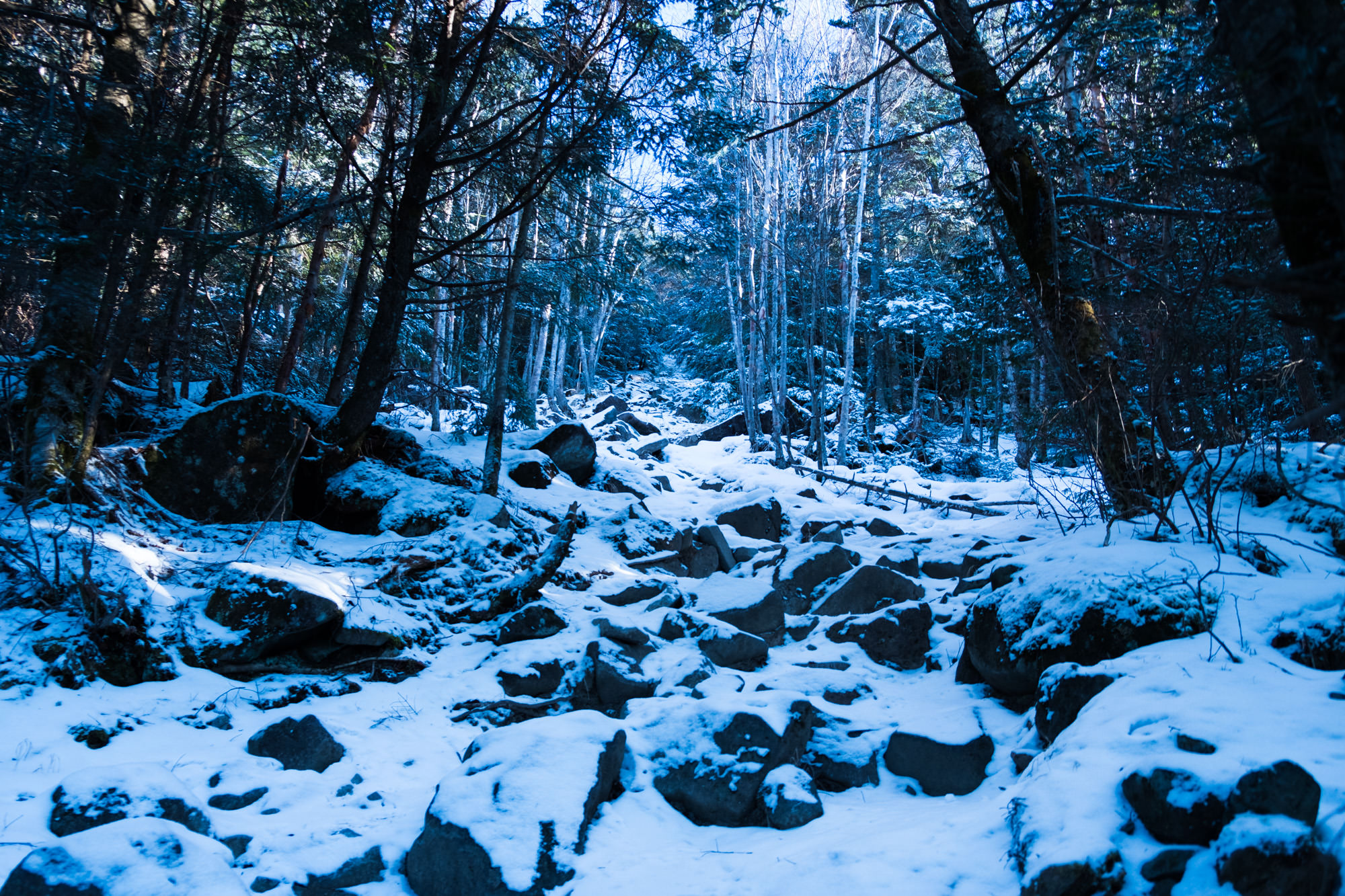 professional-tateshina-2.jpg 冬山登山の始まり