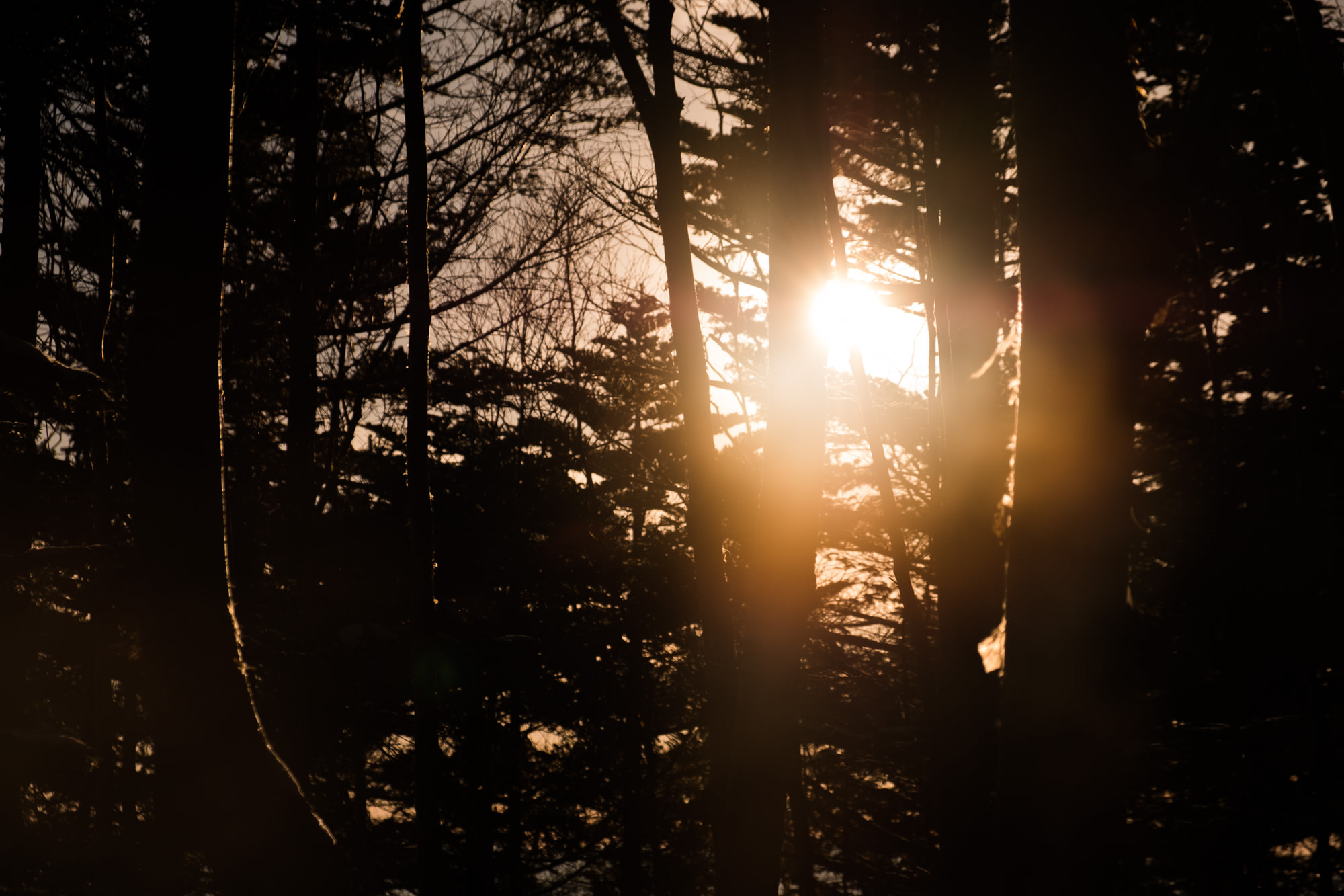 professional-tateshina-22.jpg 哀愁漂う蓼科山の夕暮れ