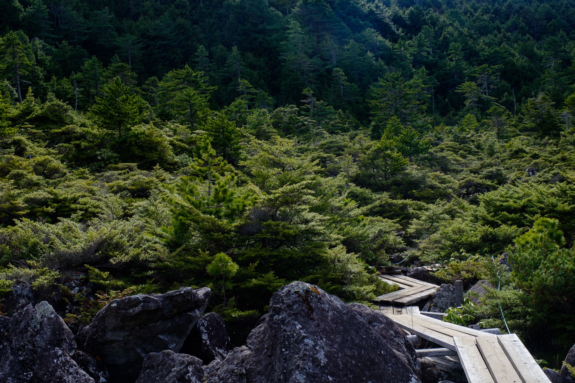 takamiishi-1-3.jpg 白駒の奥庭