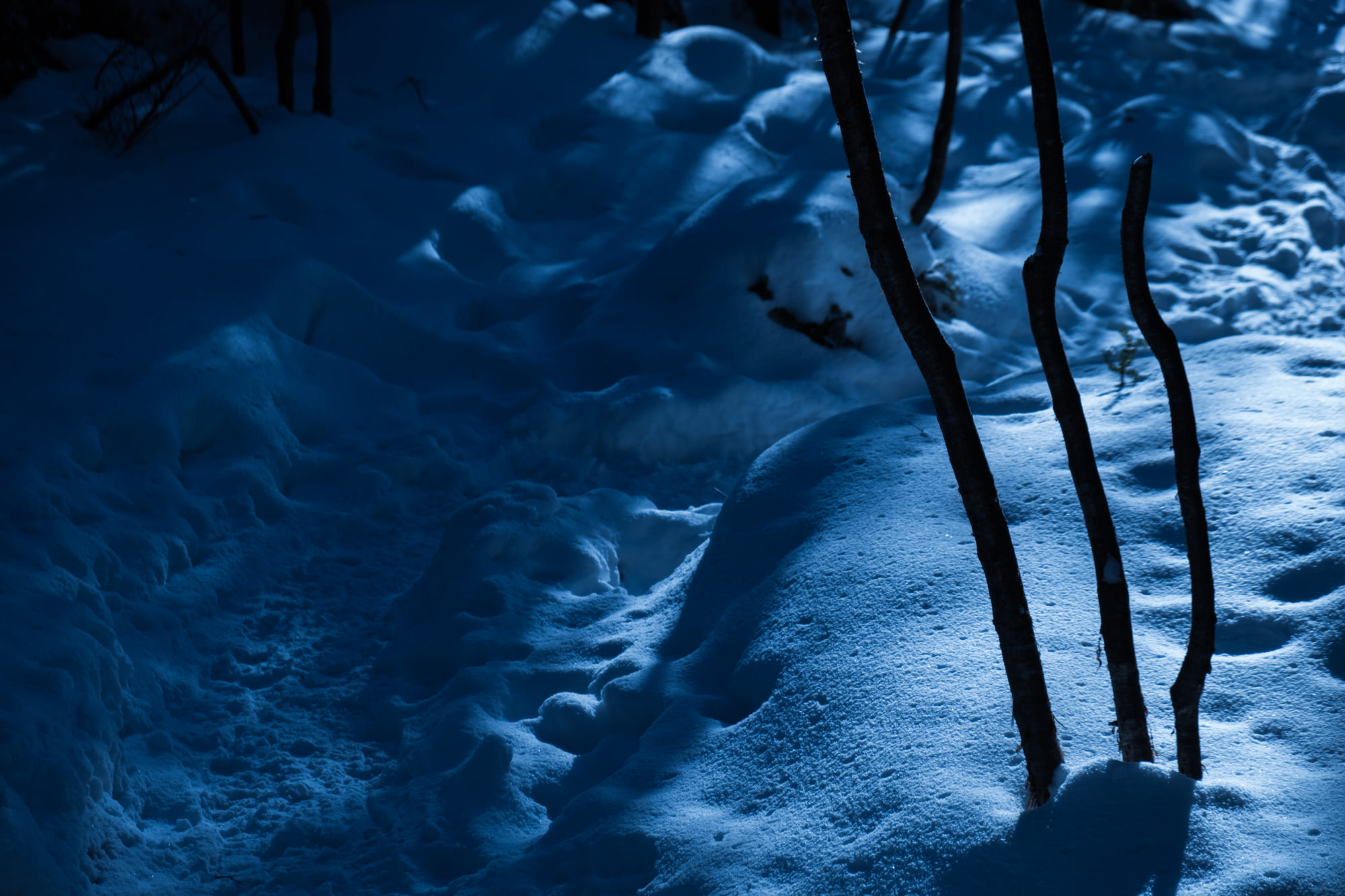 tateshina-21.jpg 月明かりの登山道